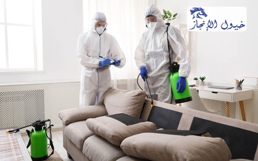 شركة مكافحة حشرات بالاحساء | شركة خيول الانجاز