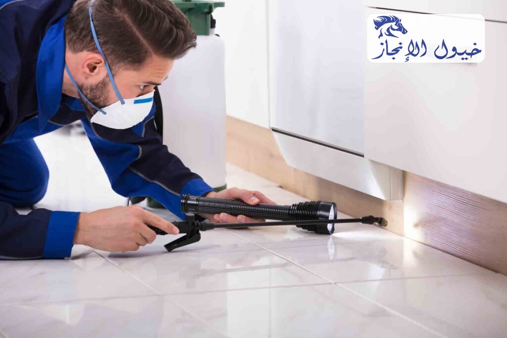 شركة مكافحة حشرات بالاحساء | شركة خيول الانجاز