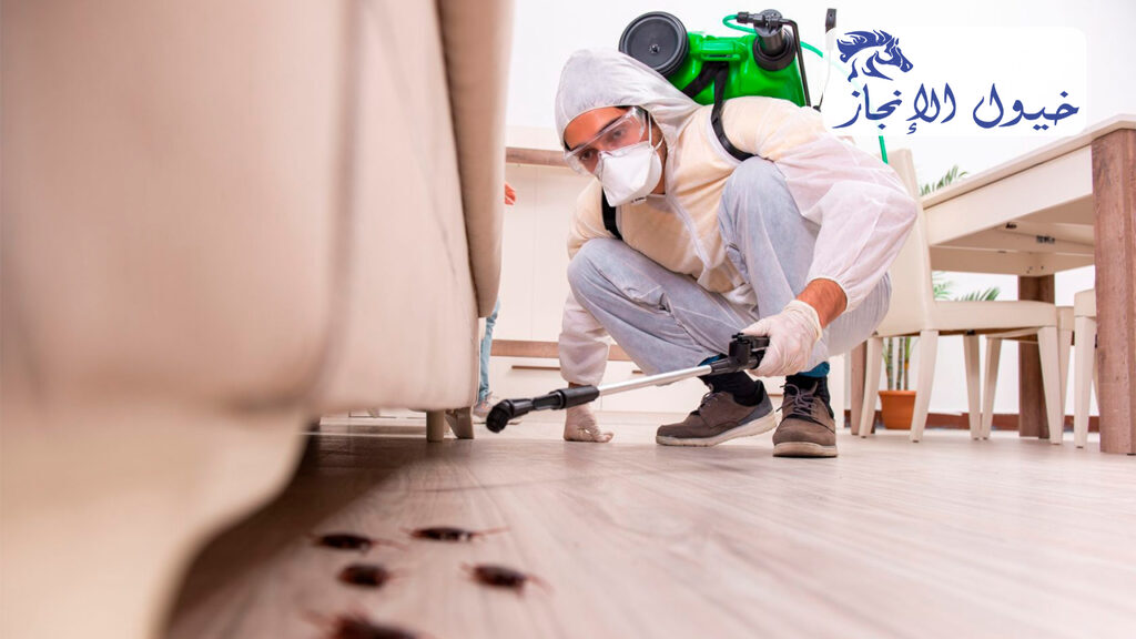 شركة مكافحة حشرات بالقطيف | شركة خيول الانجاز
