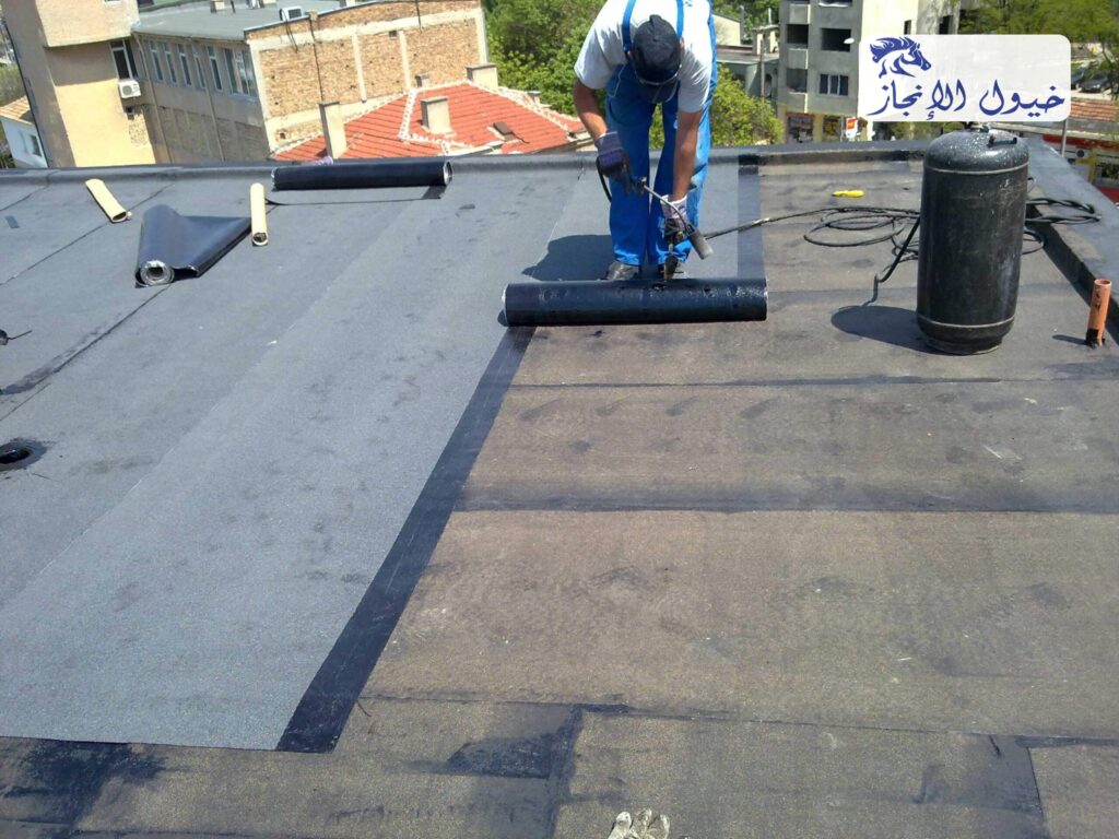 صورة | شركة خيول الانجاز