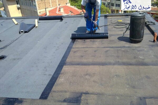 صورة | شركة خيول الانجاز