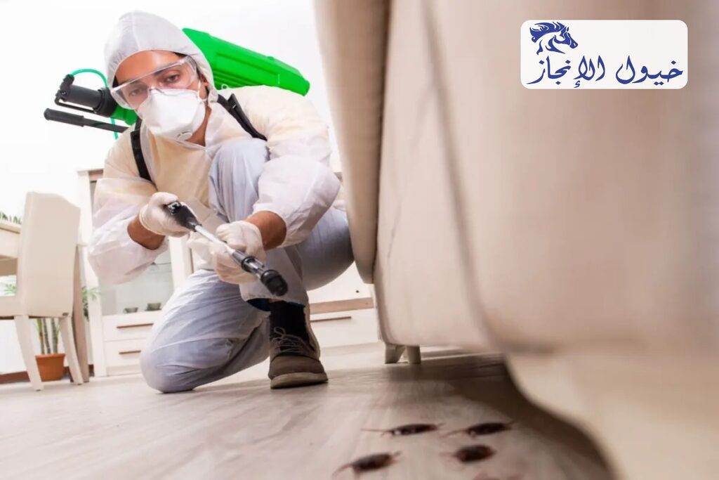 شركة مكافحة حشرات ببقيق | شركة خيول الانجاز