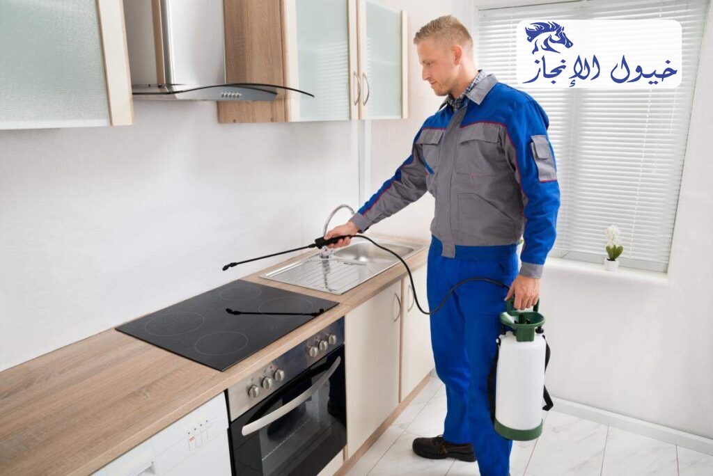 شركة مكافحة حشرات بالدمام | شركة خيول الانجاز