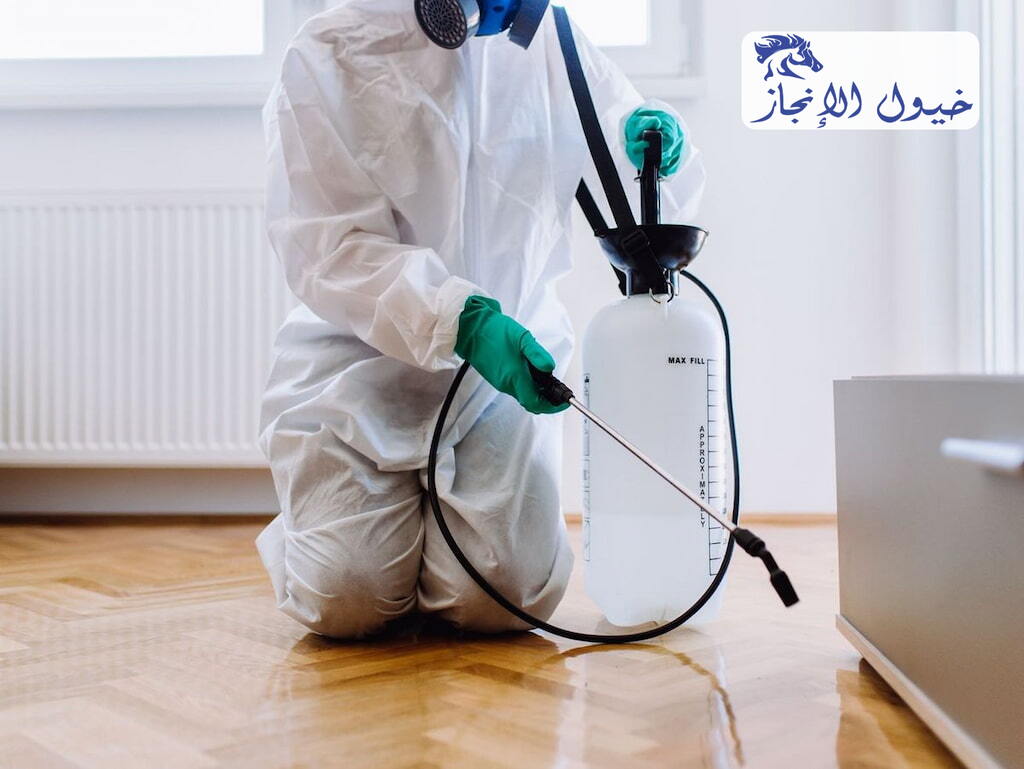 شركة مكافحة حشرات ببقيق | شركة خيول الانجاز