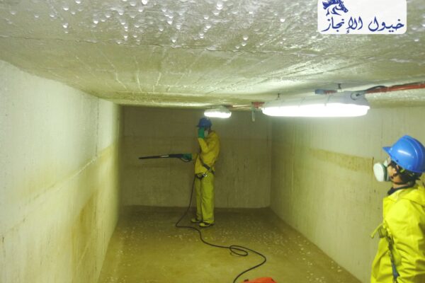 صورة | شركة خيول الانجاز