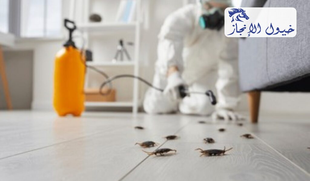 شركة مكافحة حشرات برأس تنورة | شركة خيول الانجاز