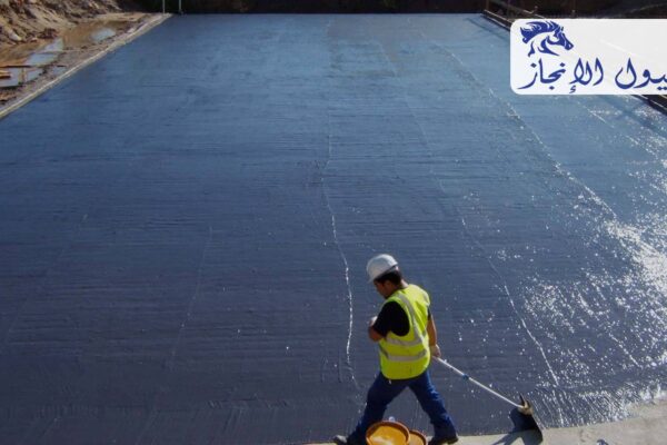 صورة | شركة خيول الانجاز