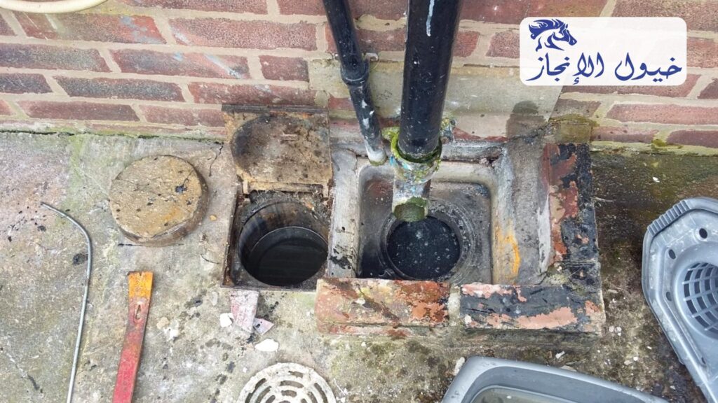 صورة | شركة خيول الانجاز