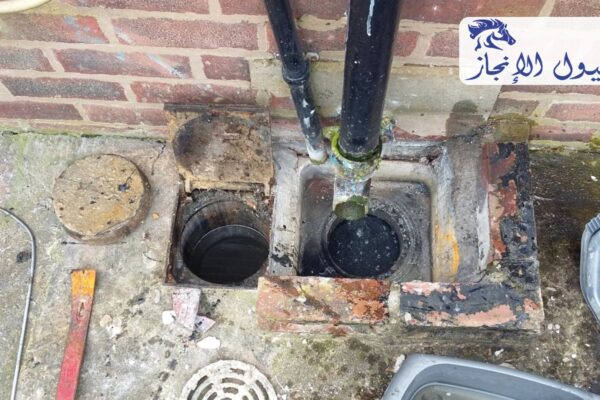 صورة | شركة خيول الانجاز