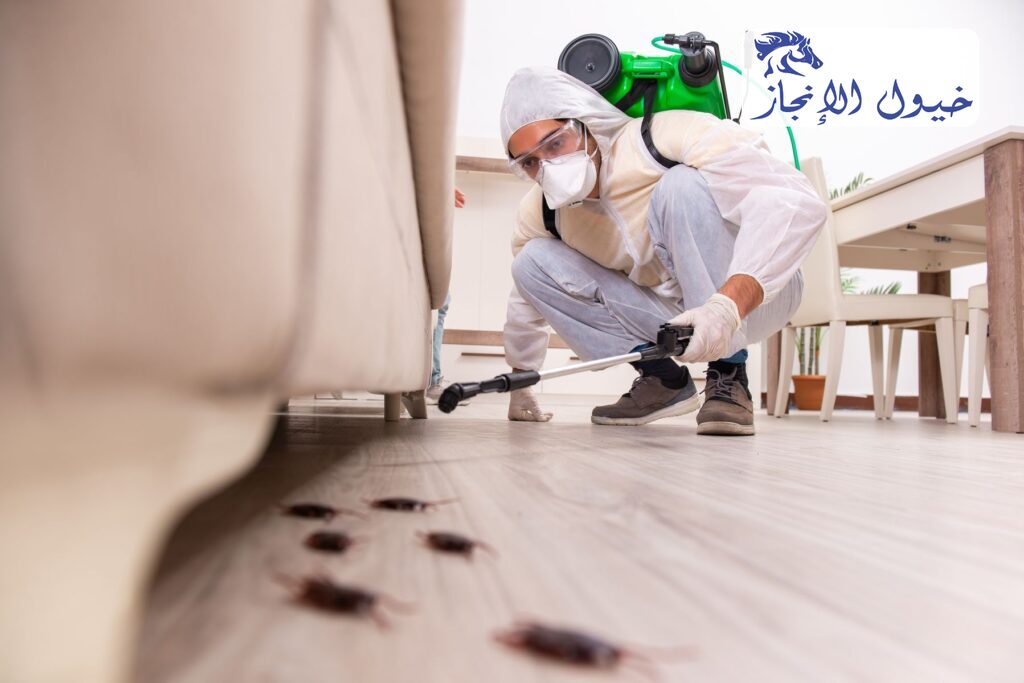 شركة مكافحة حشرات بسيهات | شركة خيول الانجاز