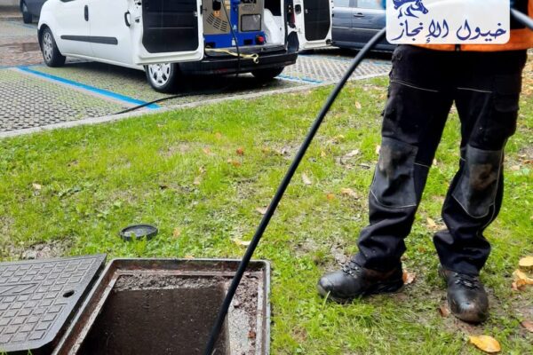 صورة | شركة خيول الانجاز