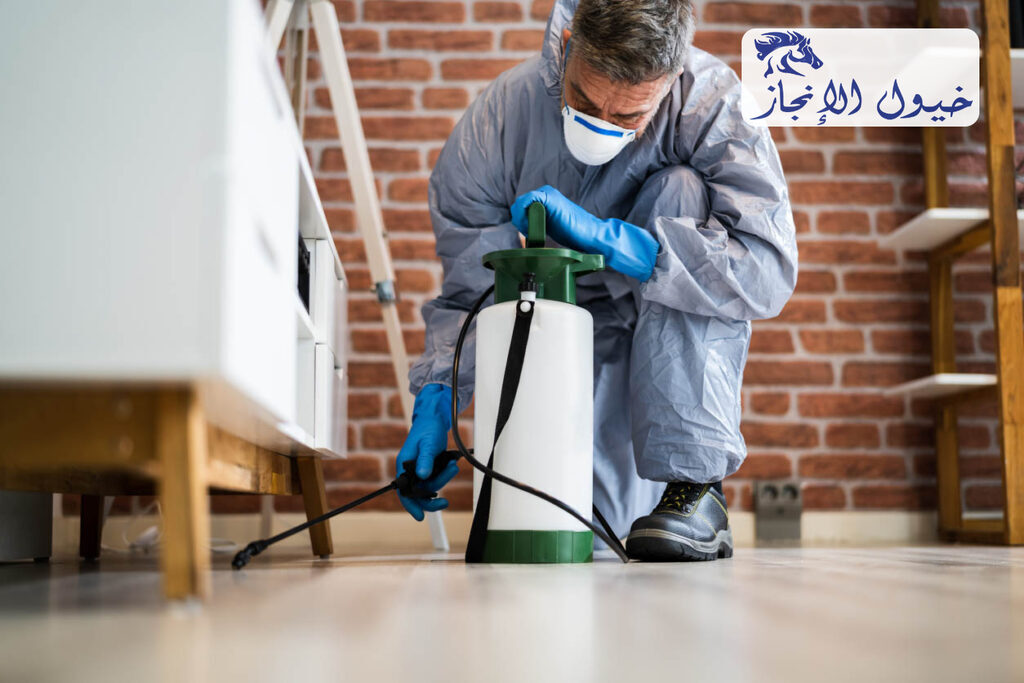 شركة مكافحة حشرات ببقيق | شركة خيول الانجاز