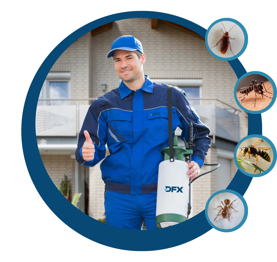 شركة خيول الانجاز للخدمات المنزلية