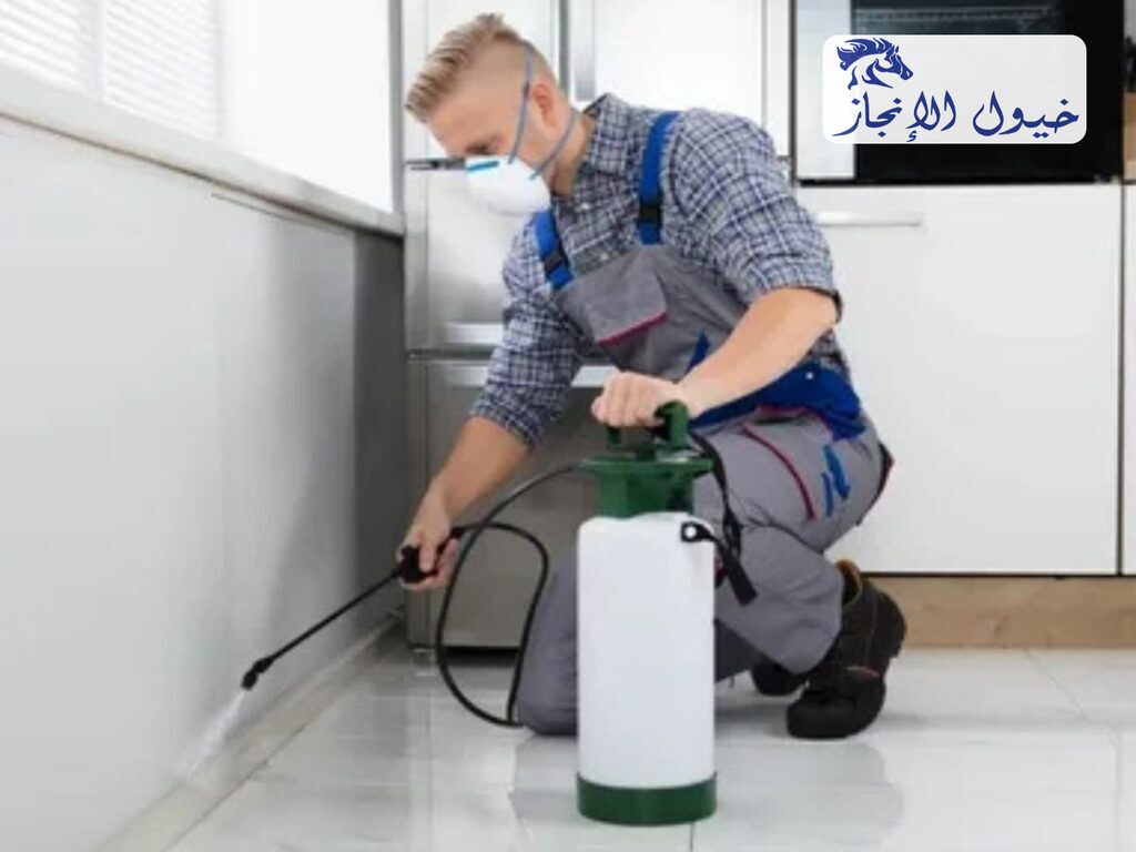 شركة مكافحة حشرات بالدمام | شركة خيول الانجاز