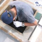 صورة | شركة خيول الانجاز