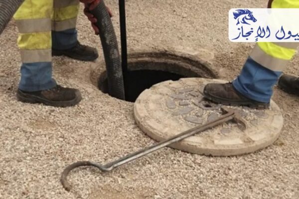 صورة | شركة خيول الانجاز