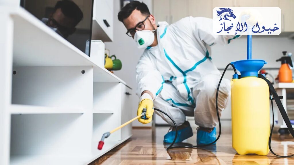 شركة مكافحة حشرات بالدمام | شركة خيول الانجاز