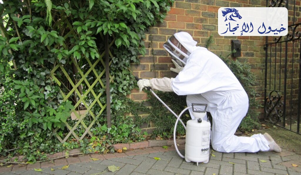شركة مكافحة حشرات برأس تنورة | شركة خيول الانجاز