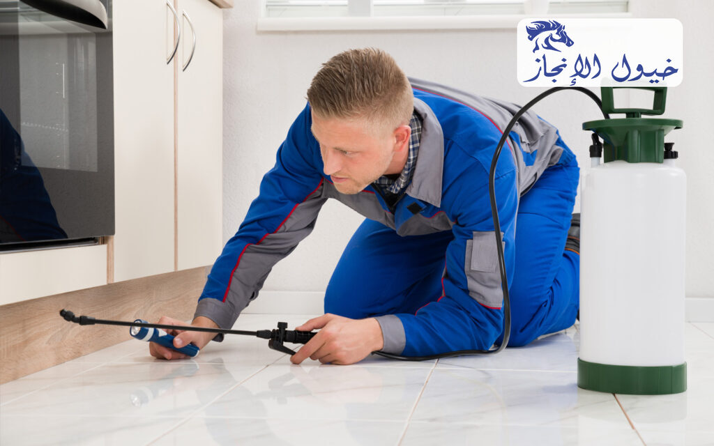 شركة مكافحة حشرات بالخبر | شركة خيول الانجاز