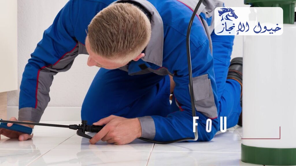 شركة مكافحة حشرات برأس تنورة | شركة خيول الانجاز