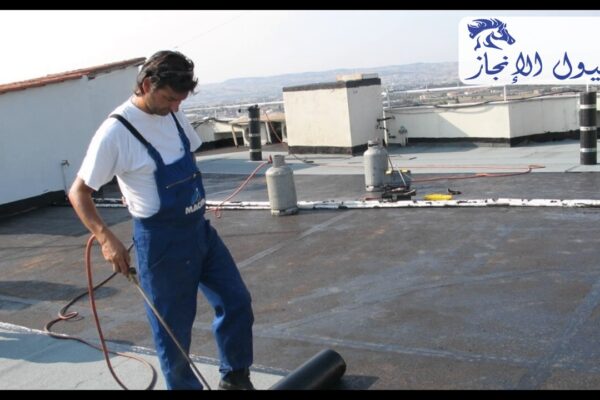 صورة | شركة خيول الانجاز