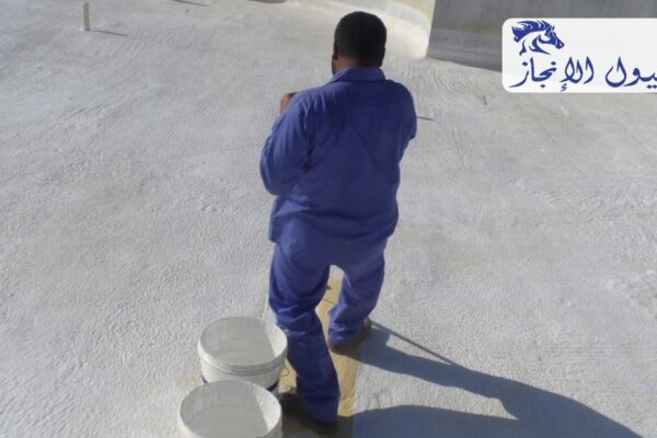 صورة | شركة خيول الانجاز