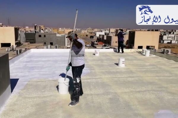 صورة | شركة خيول الانجاز