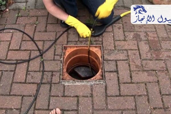 صورة | شركة خيول الانجاز