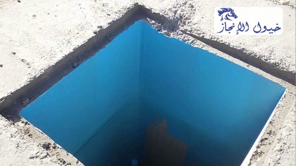 صورة | شركة خيول الانجاز