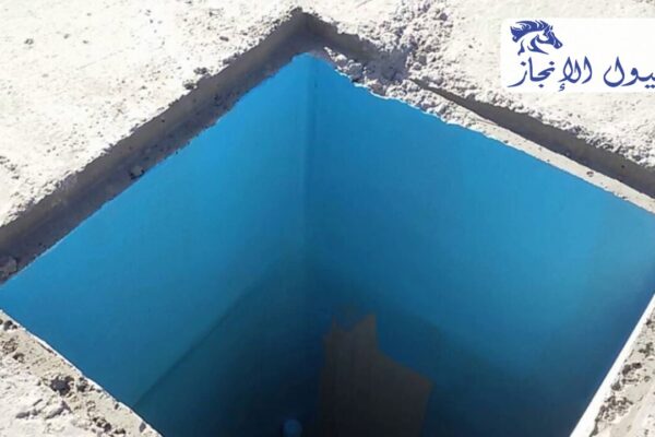 صورة | شركة خيول الانجاز