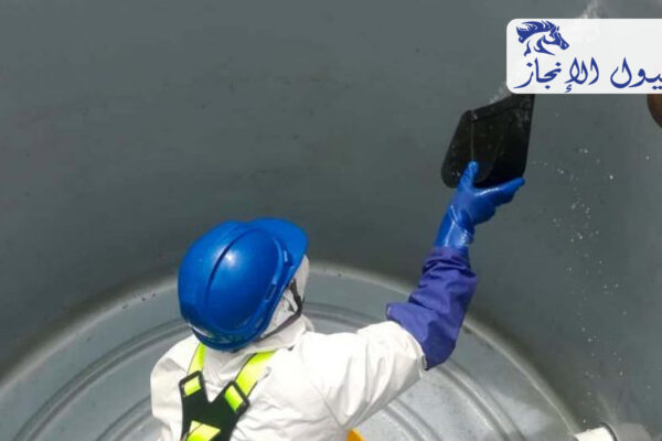 صورة | شركة خيول الانجاز