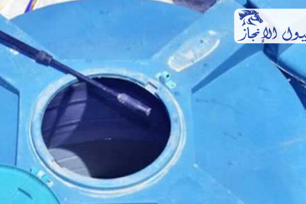 صورة | شركة خيول الانجاز