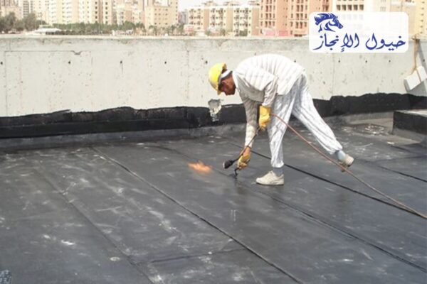 صورة | شركة خيول الانجاز